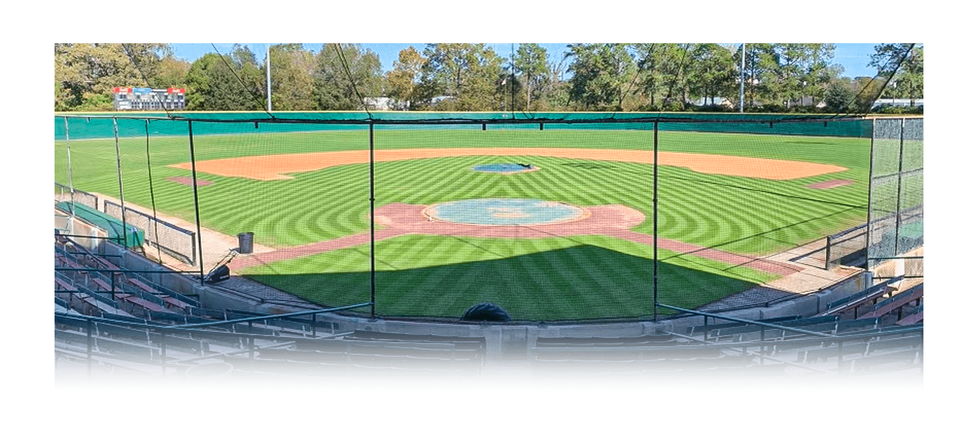 Baton Rouge CC Baseball Camps 